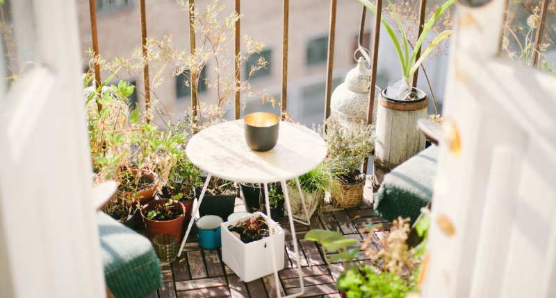 Blumen für den Balkon - welche gedeihen in unserem Klima am besten?